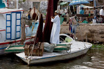 On the Manzala lake - Egypt © Philip Plisson / Plisson La Trinité / AA39756 - Photo Galleries - Color