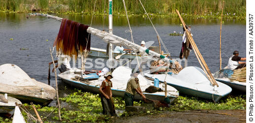 Sur le lac Manzala - Egypte - © Philip Plisson / Plisson La Trinité / AA39757 - Nos reportages photos - Couleur