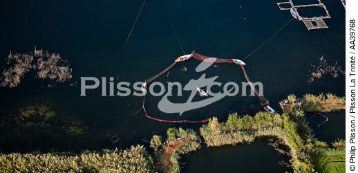 Pêcherie sur le Delta du Nil - Egypte - © Philip Plisson / Plisson La Trinité / AA39768 - Nos reportages photos - Fleuve [Egypte]