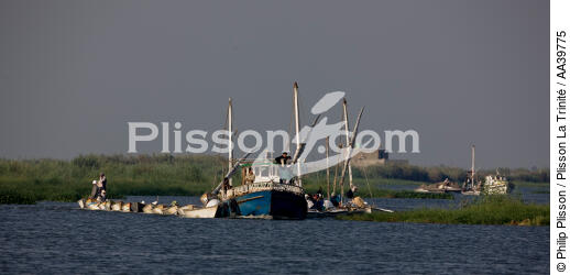 On the Manzala lake - Egypt - © Philip Plisson / Plisson La Trinité / AA39775 - Photo Galleries - Geomorphology