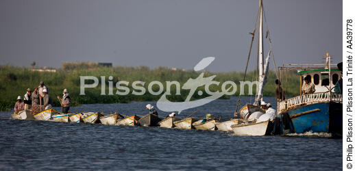 On the Manzala lake - Egypt - © Philip Plisson / Plisson La Trinité / AA39778 - Photo Galleries - Author