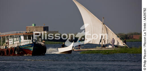Sur le lac Manzala - Egypte - © Philip Plisson / Plisson La Trinité / AA39782 - Nos reportages photos - Auteur