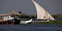 Sur le lac Manzala - Egypte © Philip Plisson / Pêcheur d’Images / AA39782 - Nos reportages photos - Vieux gréement
