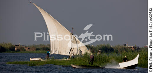 On the Manzala lake - Egypt - © Philip Plisson / Plisson La Trinité / AA39783 - Photo Galleries - Boat