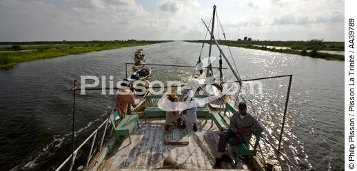 Sur le lac Manzala - Egypte - © Philip Plisson / Plisson La Trinité / AA39789 - Nos reportages photos - Auteur