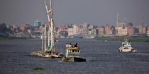 Sur le lac Manzala - Egypte © Philip Plisson / Plisson La Trinité / AA39790 - Nos reportages photos - Egypte