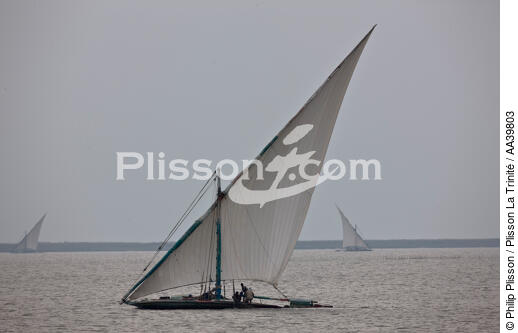 On the Manzala lake - Egypt - © Philip Plisson / Plisson La Trinité / AA39803 - Photo Galleries - Old gaffer