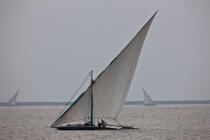 On the Manzala lake - Egypt © Philip Plisson / Pêcheur d’Images / AA39803 - Photo Galleries - Sailing boat