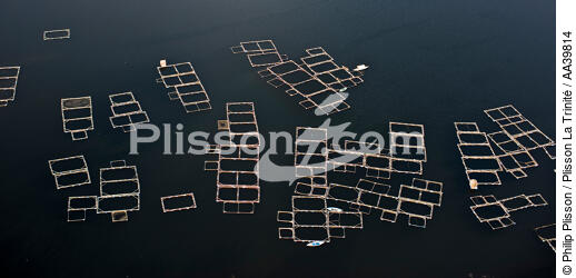The Nile Delta - Egypt - © Philip Plisson / Plisson La Trinité / AA39814 - Photo Galleries - Aerial shot