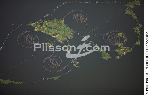 Sur le lac Manzala - Egypte - © Philip Plisson / Plisson La Trinité / AA39833 - Nos reportages photos - Vue aérienne