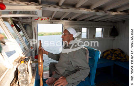 Sur le lac Manzala - Egypte - © Philip Plisson / Plisson La Trinité / AA39751 - Nos reportages photos - Pays étranger