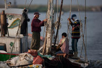 Sur le lac Manzala - Egypte © Philip Plisson / Pêcheur d’Images / AA39752 - Nos reportages photos - Pays étranger