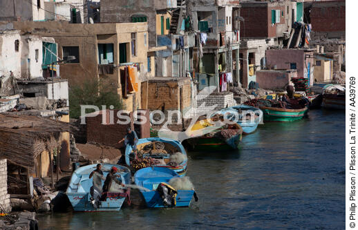 Alexandria - Egypt - © Philip Plisson / Plisson La Trinité / AA39769 - Photo Galleries - Town [Egypt]