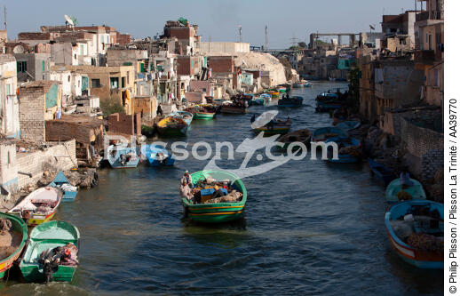 Alexandrie - Egypte - © Philip Plisson / Plisson La Trinité / AA39770 - Nos reportages photos - Egypte