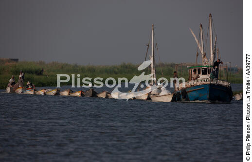 Sur le lac Manzala - Egypte - © Philip Plisson / Plisson La Trinité / AA39777 - Nos reportages photos - Hydrologie