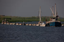 Sur le lac Manzala - Egypte © Philip Plisson / Pêcheur d’Images / AA39777 - Nos reportages photos - Pays étranger