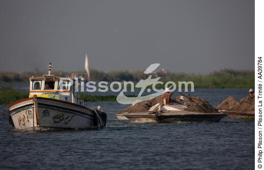 Sur le lac Manzala - Egypte - © Philip Plisson / Plisson La Trinité / AA39784 - Nos reportages photos - Site [Egypte]