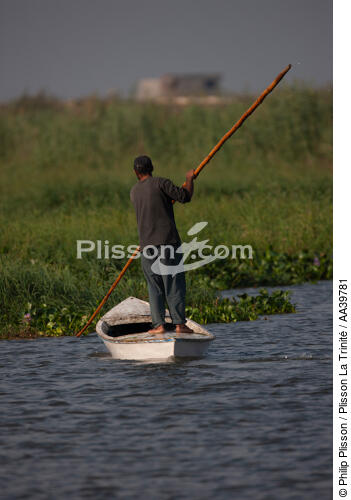 Sur le lac Manzala - Egypte - © Philip Plisson / Plisson La Trinité / AA39781 - Nos reportages photos - Lac