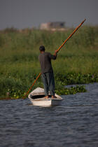 Sur le lac Manzala - Egypte © Philip Plisson / Pêcheur d’Images / AA39781 - Nos reportages photos - Hydrologie