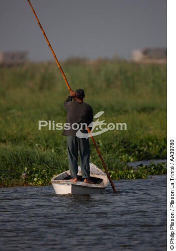 Sur le lac Manzala - Egypte - © Philip Plisson / Plisson La Trinité / AA39780 - Nos reportages photos - Pays étranger