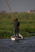 Sur le lac Manzala - Egypte © Philip Plisson / Pêcheur d’Images / AA39780 - Nos reportages photos - Pays étranger