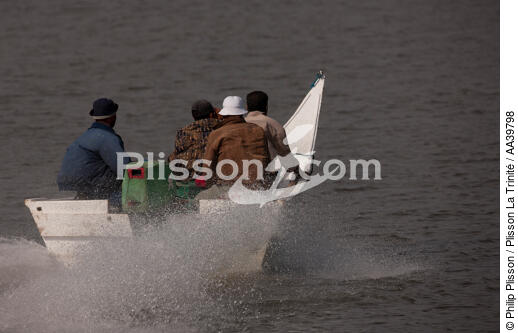 On the Manzala lake - Egypt - © Philip Plisson / Plisson La Trinité / AA39798 - Photo Galleries - Hydrology