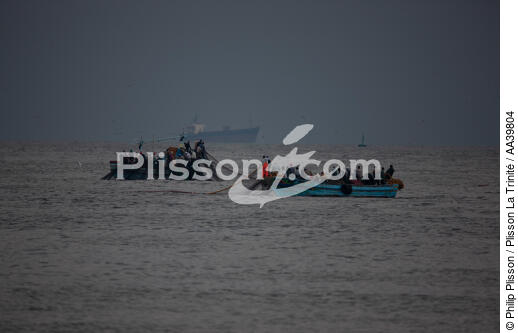 Pêche devant Alexandrie - Egypte - © Philip Plisson / Plisson La Trinité / AA39804 - Nos reportages photos - Type vue