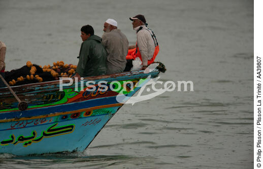 Fishing in front of Alexandria - Egypt - © Philip Plisson / Plisson La Trinité / AA39807 - Photo Galleries - Fishing