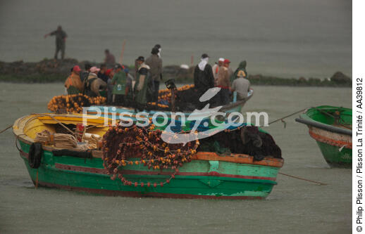 Pêche devant Alexandrie - Egypte - © Philip Plisson / Plisson La Trinité / AA39812 - Nos reportages photos - Couleur