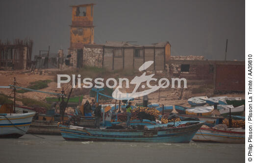 Fishing in front of Alexandria - Egypt - © Philip Plisson / Plisson La Trinité / AA39810 - Photo Galleries - Color