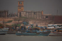 Pêche devant Alexandrie - Egypte © Philip Plisson / Plisson La Trinité / AA39810 - Nos reportages photos - Cadrage
