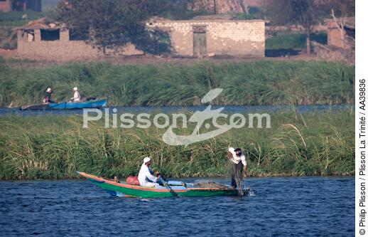 Sur le lac Manzala - Egypte - © Philip Plisson / Plisson La Trinité / AA39836 - Nos reportages photos - Site [Egypte]