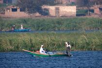 On the Manzala lake - Egypt © Philip Plisson / Pêcheur d’Images / AA39836 - Photo Galleries - Site of interest [Egypt]