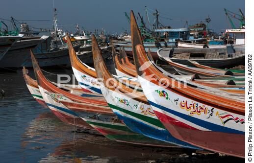 Eels of fishing boats on the Nile Delta - Egypt - © Philip Plisson / Plisson La Trinité / AA39762 - Photo Galleries - Color