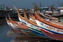 Etraves de bateaux de pêche sur le Delta du Nil - Egypte © Philip Plisson / Plisson La Trinité / AA39762 - Nos reportages photos - Pêche