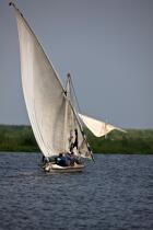On the Manzala lake - Egypt © Philip Plisson / Pêcheur d’Images / AA39785 - Photo Galleries - Sailing boat