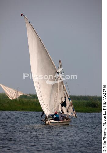 Sur le lac Manzala - Egypte - © Philip Plisson / Plisson La Trinité / AA39786 - Nos reportages photos - Monocoque