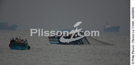 Pêche devant Alexandrie - Egypte - © Philip Plisson / Plisson La Trinité / AA39805 - Nos reportages photos - Chromie