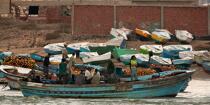 Pêche devant Alexandrie - Egypte © Philip Plisson / Plisson La Trinité / AA39806 - Nos reportages photos - 16/9 horizontal