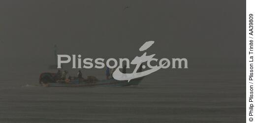 Fishing in front of Alexandria - Egypt - © Philip Plisson / Plisson La Trinité / AA39809 - Photo Galleries - Maritime activity
