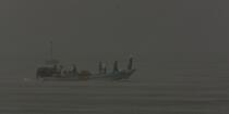 Pêche devant Alexandrie - Egypte © Philip Plisson / Pêcheur d’Images / AA39809 - Nos reportages photos - Pays étranger
