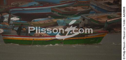 Fishing in front of Alexandria - Egypt - © Philip Plisson / Plisson La Trinité / AA39808 - Photo Galleries - Color