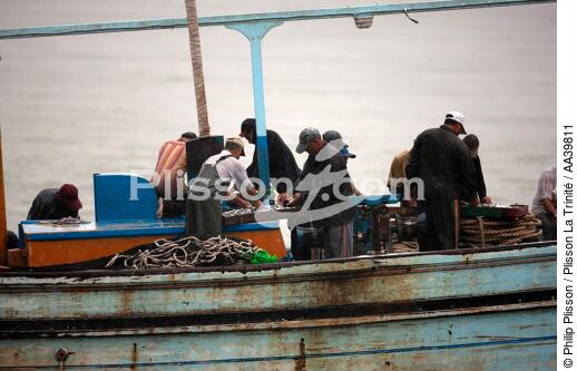 Pêche devant Alexandrie - Egypte - © Philip Plisson / Plisson La Trinité / AA39811 - Nos reportages photos - Auteur