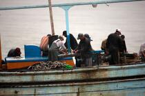 Pêche devant Alexandrie - Egypte © Philip Plisson / Pêcheur d’Images / AA39811 - Nos reportages photos - Mots clés