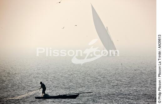 Petite pêche sur le Delta du Nil - Egypte - © Philip Plisson / Plisson La Trinité / AA39813 - Nos reportages photos - Site [Egypte]