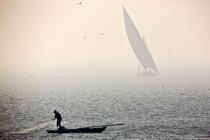 Petite pêche sur le Delta du Nil - Egypte © Philip Plisson / Pêcheur d’Images / AA39813 - Nos reportages photos - Fleuve [Egypte]
