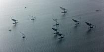 On the Burullus lake - Egypt © Philip Plisson / Plisson La Trinité / AA39815 - Photo Galleries - Aerial shot