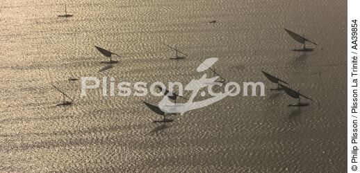 On the Burullus lake - Egypt - © Philip Plisson / Plisson La Trinité / AA39854 - Photo Galleries - Aerial shot