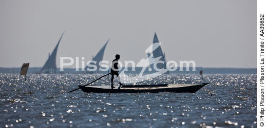 On the Burullus lake - Egypt - © Philip Plisson / Plisson La Trinité / AA39852 - Photo Galleries - Color