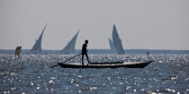 Sur le lac Burullus - Egypte © Philip Plisson / Plisson La Trinité / AA39852 - Nos reportages photos - Couleur